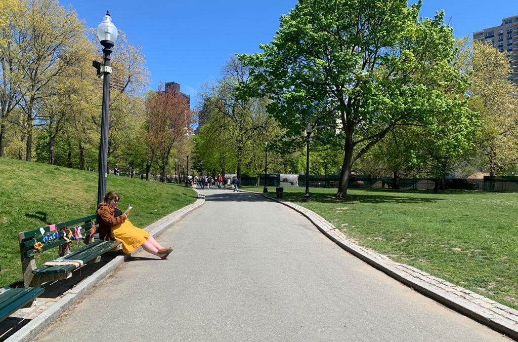 Best Places to Read Outside in Boston